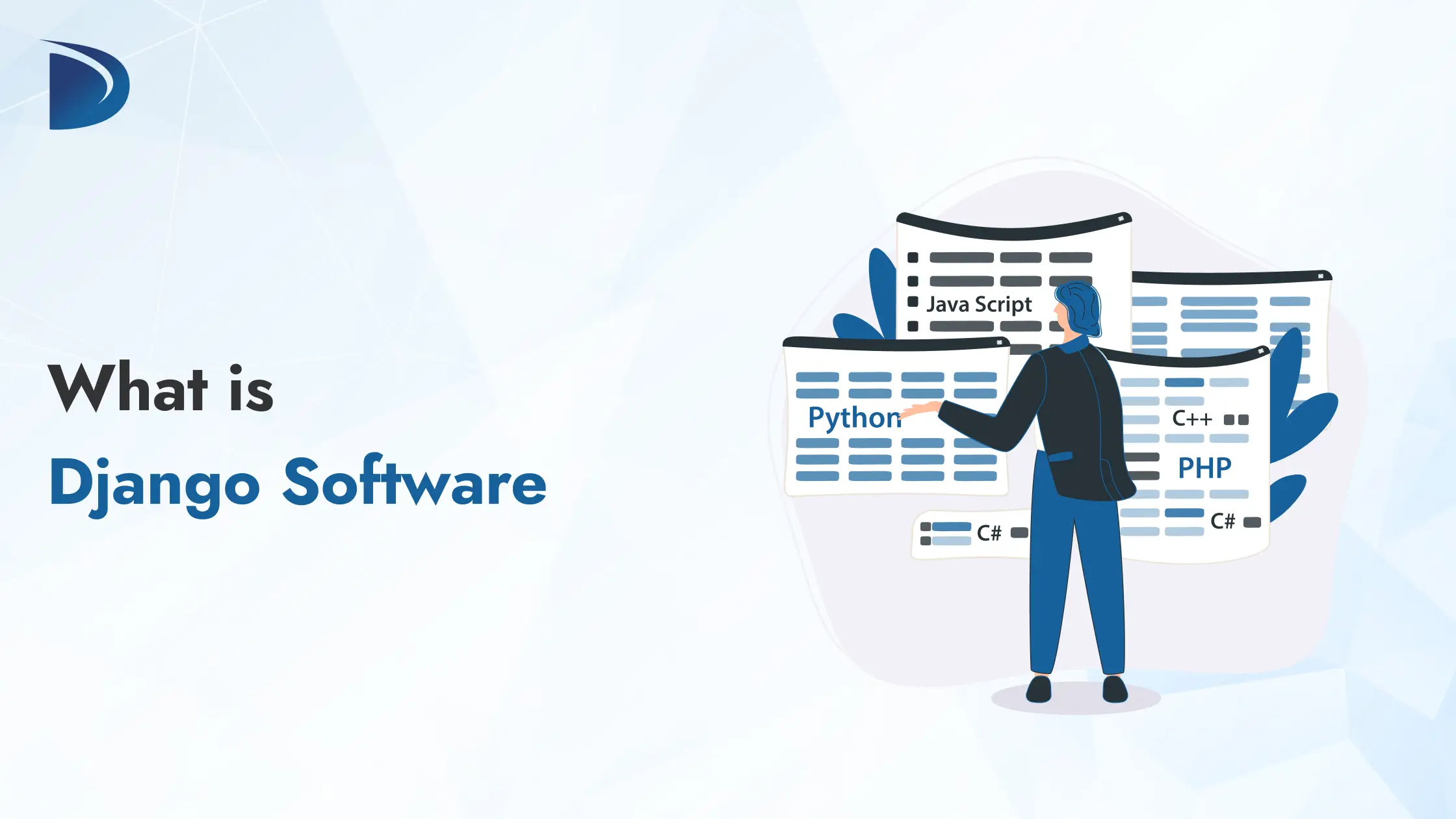 What is Django Software?