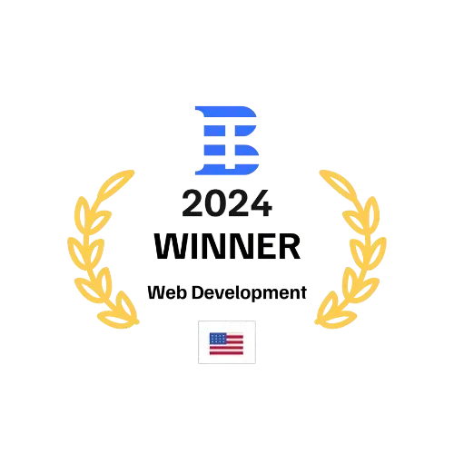 2024 winner web development